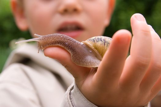 A young child with a snail