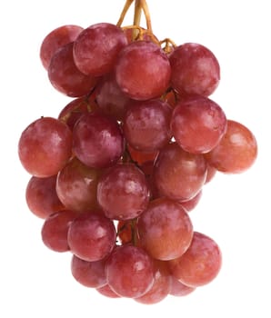 Red grape isolated on white