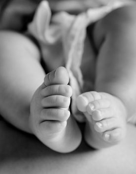 New born baby feet from below