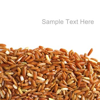Red rice on white background with copy space on top