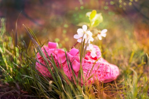 bright pink baby shoes on the green grass
