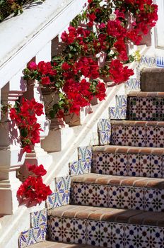 Arabic architecture: ceramic tiled old stairs and bougainvillea blooming         
