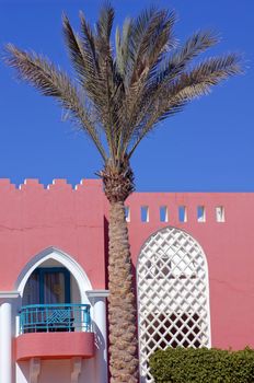 Arabic architecture: palm and red walled villa         