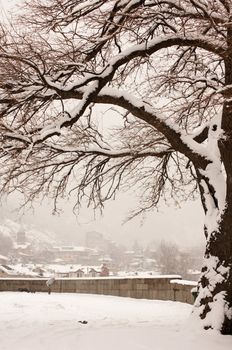 Winter view to covered with snow Tbilisi Old town in misty day