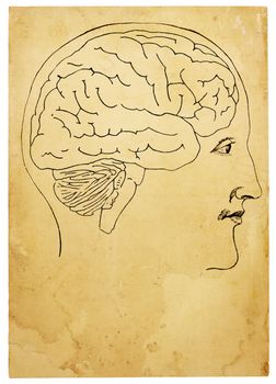 An old style line art illustration of head and brain on aged, stained paper. Isolated on white, with clipping path.