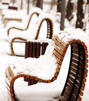 Wooden park bench in a sunny day - winter time