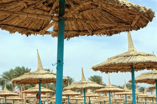 Sun umbrellas on the  sea beach