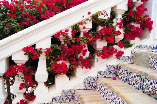 Courtyard of mediterranean villa with ceramic tile walkway and blooming bushes in Egypt              