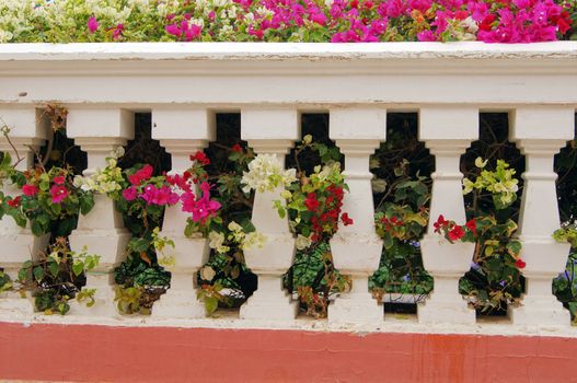 Courtyard of mediterranean villa with ceramic tile walkway and blooming bushes in Egypt