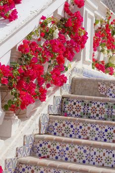 Courtyard of mediterranean villa with ceramic tile walkway and blooming bushes in Egypt