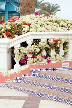 Courtyard of mediterranean villa with ceramic tile walkway and blooming bushes in Egypt