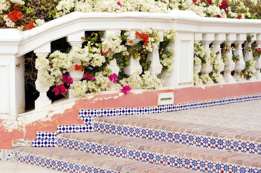 Courtyard of mediterranean villa with ceramic tile walkway and blooming bushes in Egypt