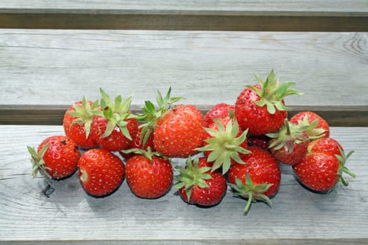 freshly harvested strawberries