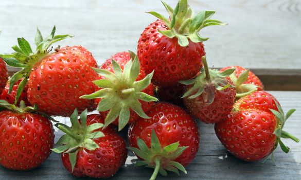 freshly harvested strawberries