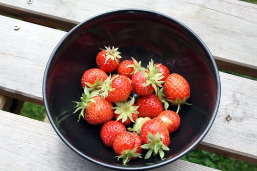 freshly harvested strawberries