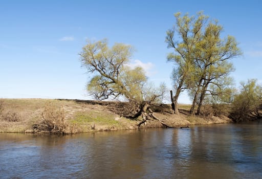 Countryside river in spring time, sunny day