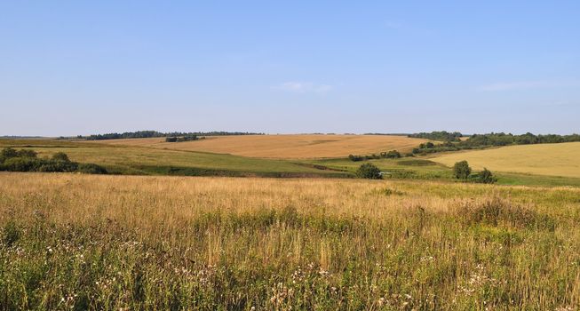 Summer country landscape, fields and meadows
