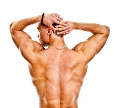 The muscular bodybuilder back. Isolated on white.