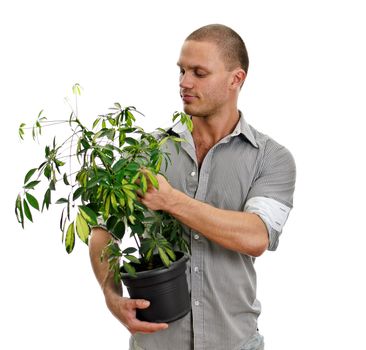 Man holding a pot with plant. Isolated on white background