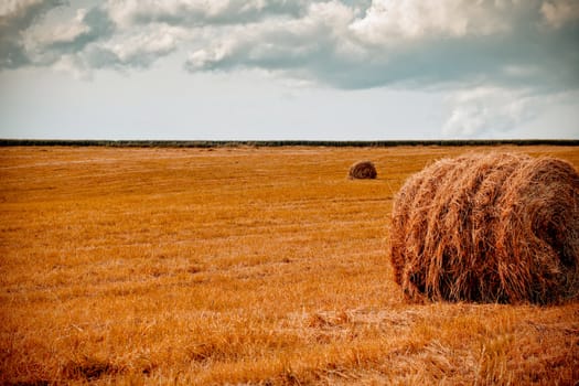 hay bale in the foreground of orange rural field 