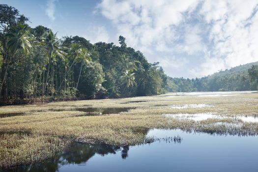 View on lake with palms at India. Horizontal photo