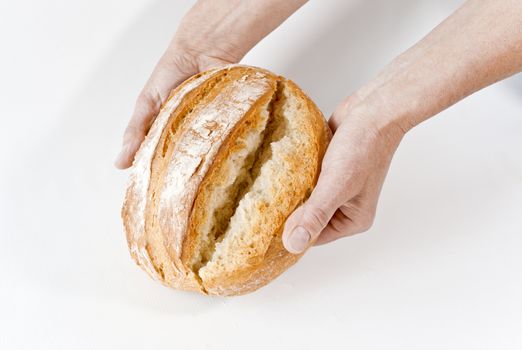 Baker's hands with broken white bread loaf on white background