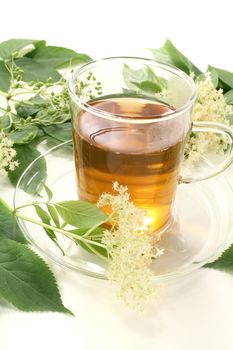 fresh hot elderflower tea with elder flowers and leaves