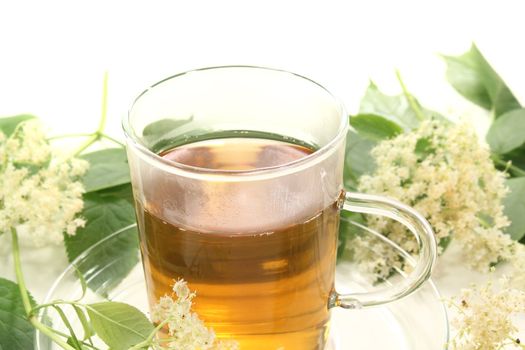 fresh elderflower tea with elder flowers and leaves