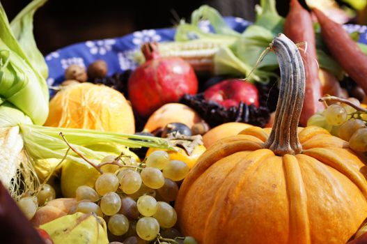 Closeup of autumn vegetables and fruits