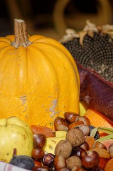 autumn fruits and vegetables on the table