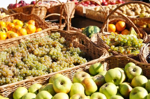 Closeup of autumn vegetables and fruits