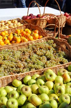 Closeup of autumn vegetables and fruits