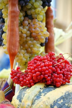 Closeup of autumn vegetables and fruits