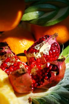 Closeup of autumn vegetables and fruits