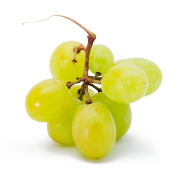 grapes Isolated on the white