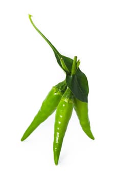 green chili on white background