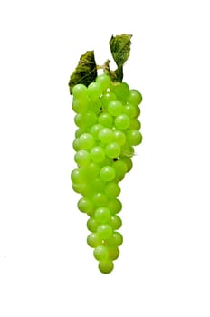 Bunch of white grapes, isolated on a white background, vertical view closeup.