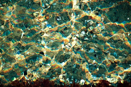 Aqua background - stones shells and sand on the sea bed, ripples, sunbeams, and algae.