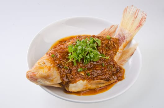 fish. steamed fish chinese style