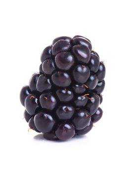 blackberry isolated on a white background