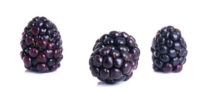 blackberry isolated on a white background