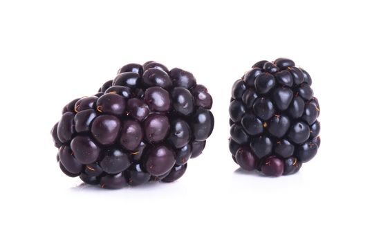 blackberry isolated on a white background