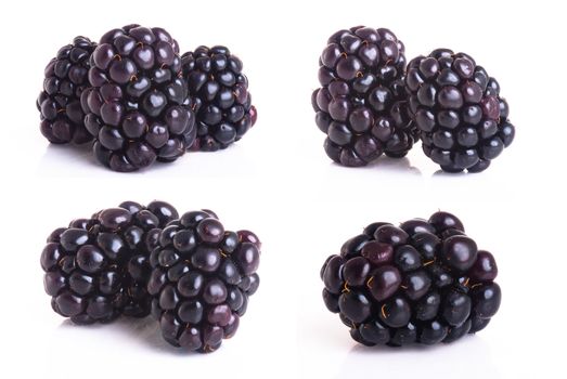 blackberry isolated on a white background