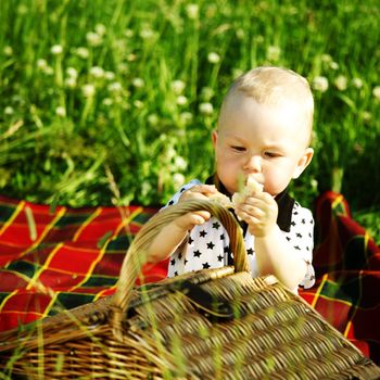  picnic on green grass boy and basket