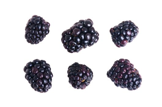 blackberry isolated on a white background