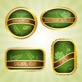 Set of four green badges with ribbon. Eco and natural