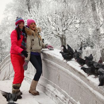 winter women give food to the pigeon