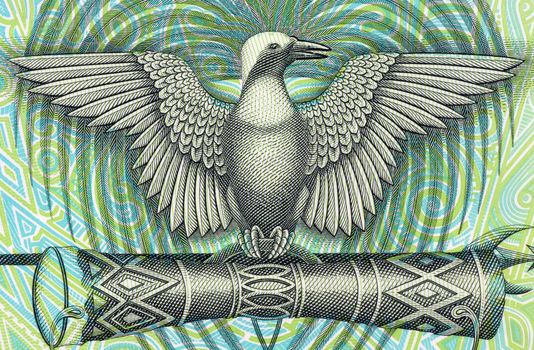 Bird of Paradise on 2 Kina 1991 Banknote from Papua New Guinea.