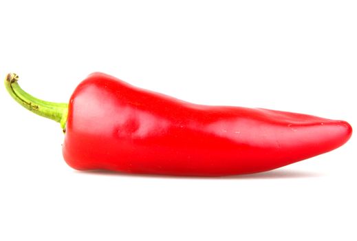 Red chilli peppers on white background.