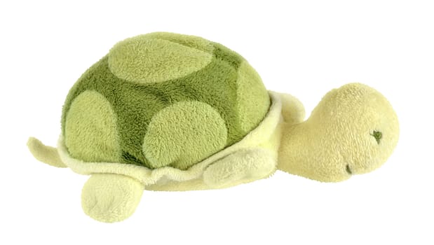 Turtle soft toy isolated on white with path